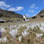 Rieder Stubn 3* Ried im Oberinntal